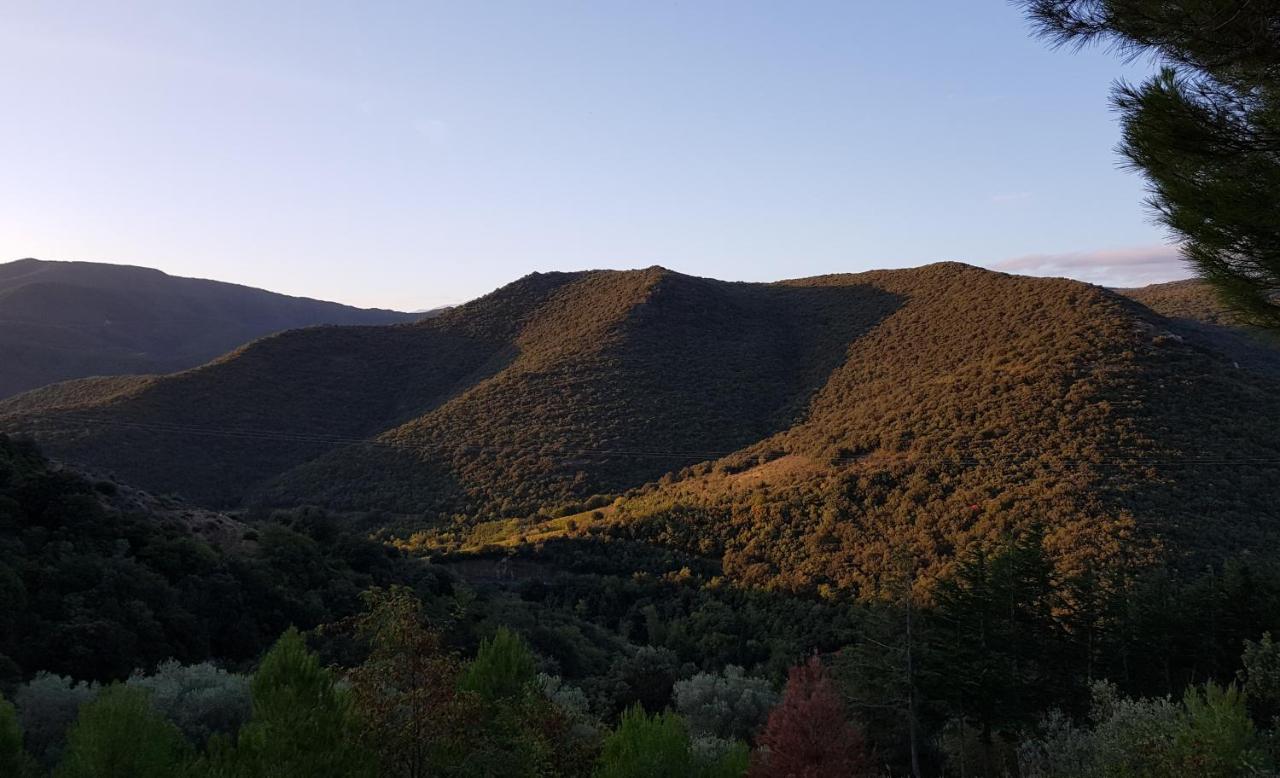 Gites-Terroirs-Occitanie Grenache Felluns Kültér fotó